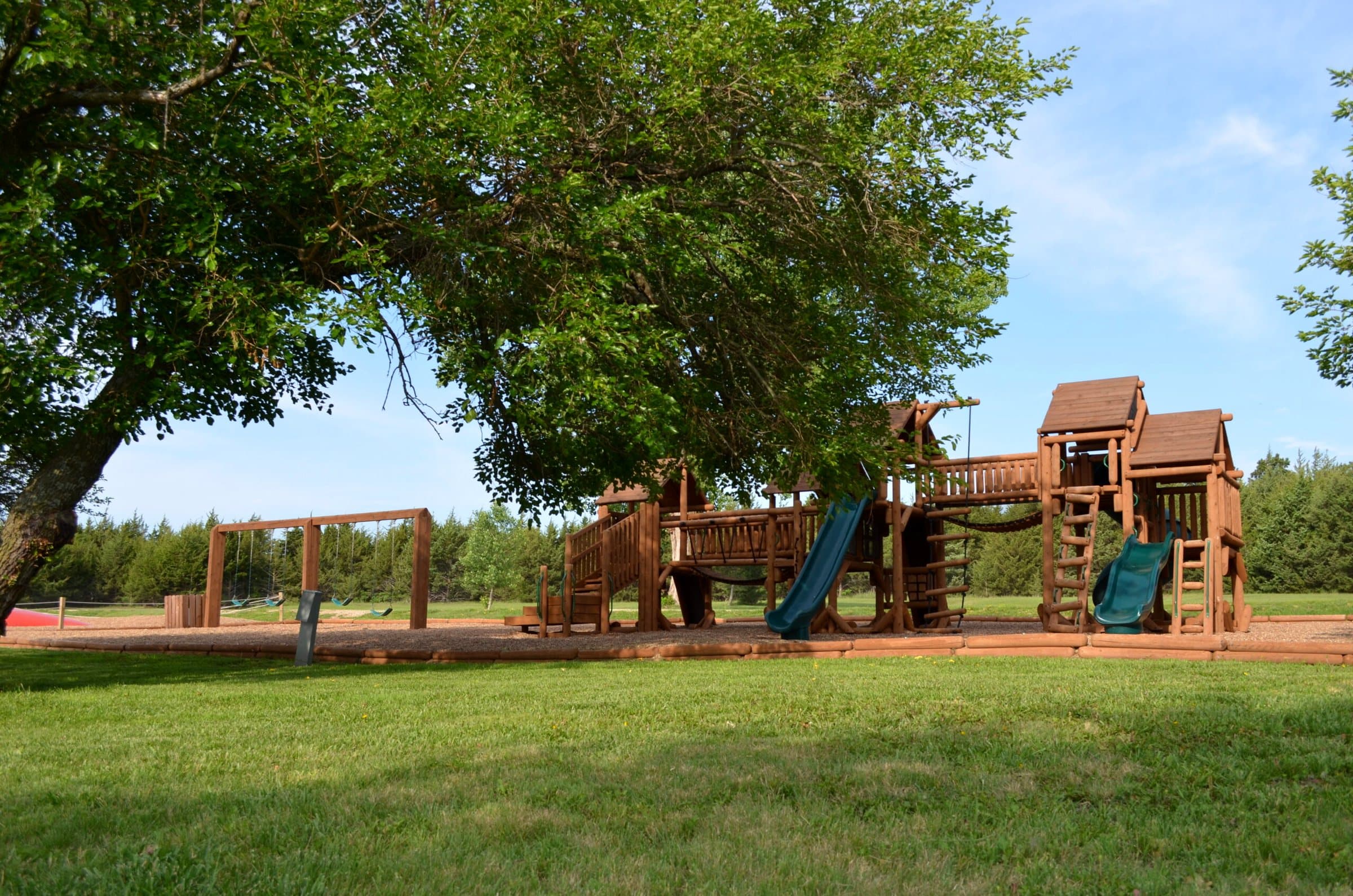 Wooden play fort with slides and climbing towers under a large shade tree